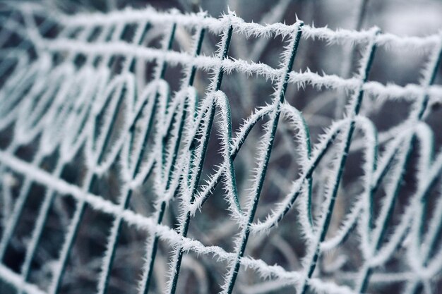 Close-up of rope on snow