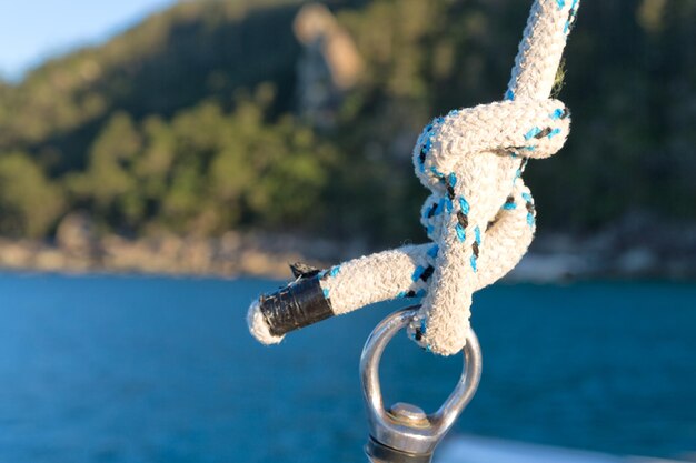 Foto close-up di una corda legata ad un albero contro il mare