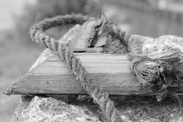 Close-up of rope tied on wood