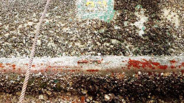 Foto close-up di una corda su un tubo intemperato sulla spiaggia