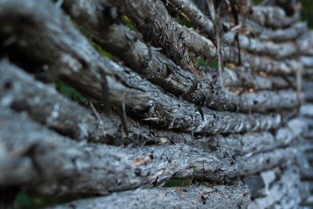 Photo close-up of rope