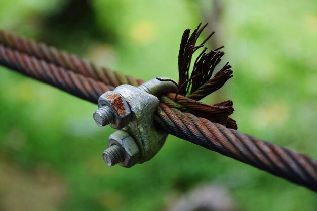 Close-up of rope