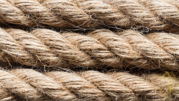 Close-up of ropes