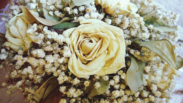 Photo close-up of rose bouquet