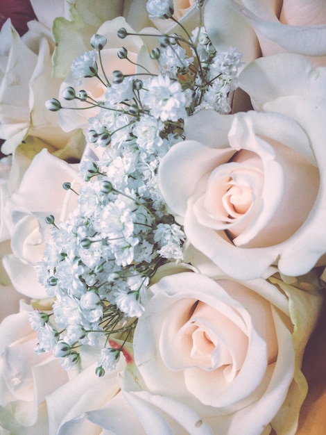 Close-up of rose bouquet