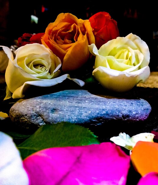 Close-up of rose bouquet