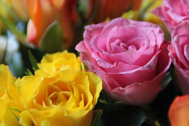 Close-up of rose bouquet