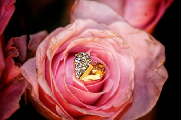 Foto close-up di un bouquet di rose