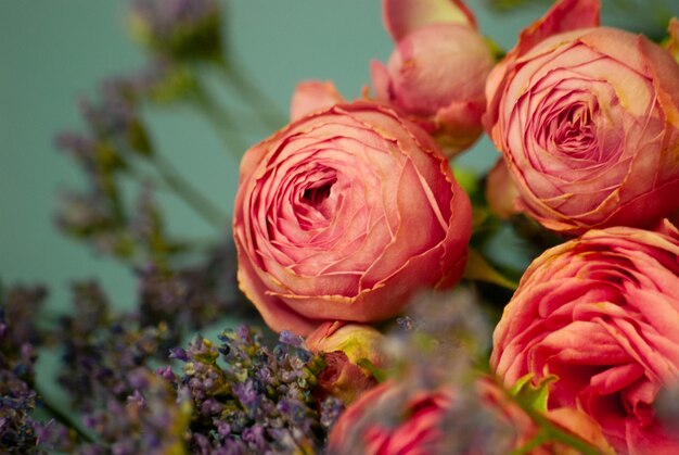 Photo close-up of rose bouquet