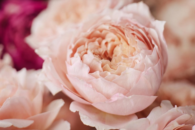 Close-up of rose bouquet