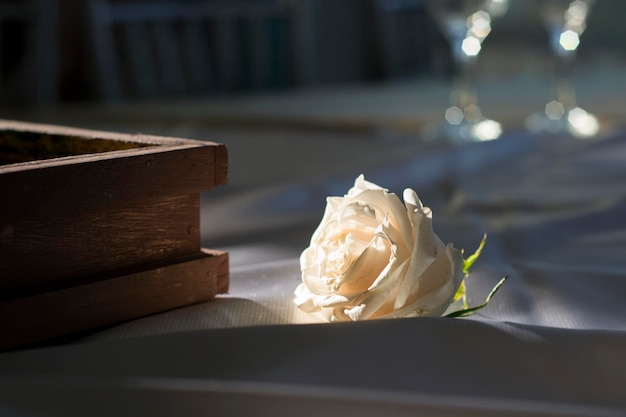 Foto close-up di una rosa sul tavolo