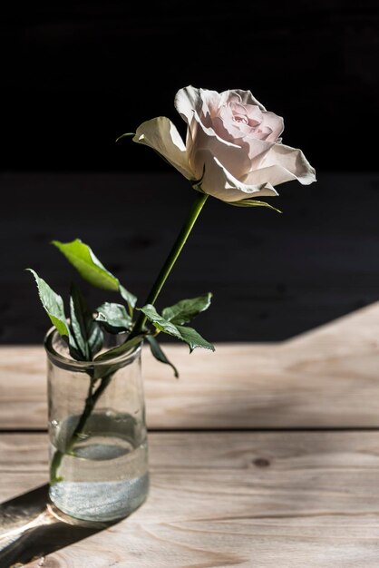 Photo close-up of rose on table