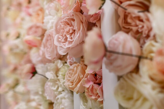 Foto close-up di una rosa