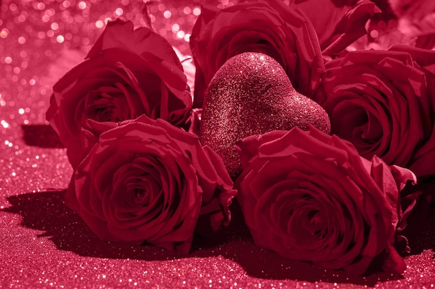 close-up of rose
