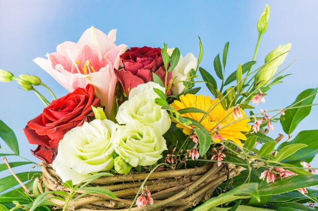 Close-up of roses blooming outdoors