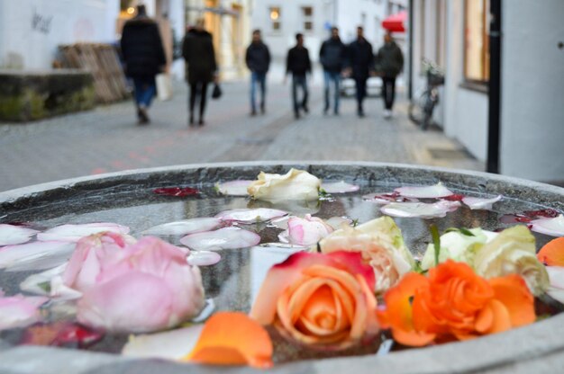 Foto close-up di rose che galleggiano sull'acqua in città