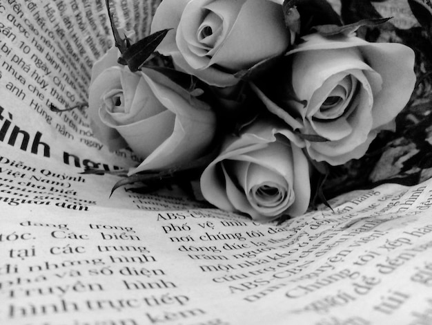 Foto close-up di rose avvolte in giornale