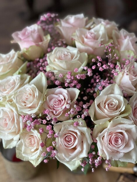 Photo close-up of roses