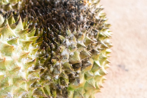 Primo piano del problema della muffa bianca del durian marcio