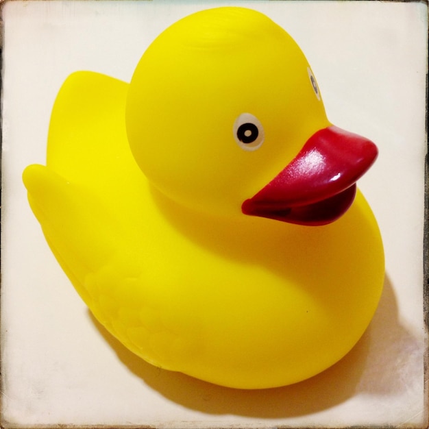 Close-up of rubber duck on white background