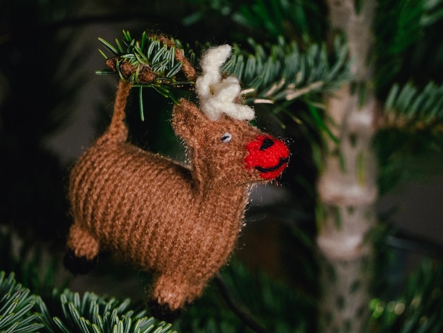 Photo close-up of rudolph the red nose reindeer