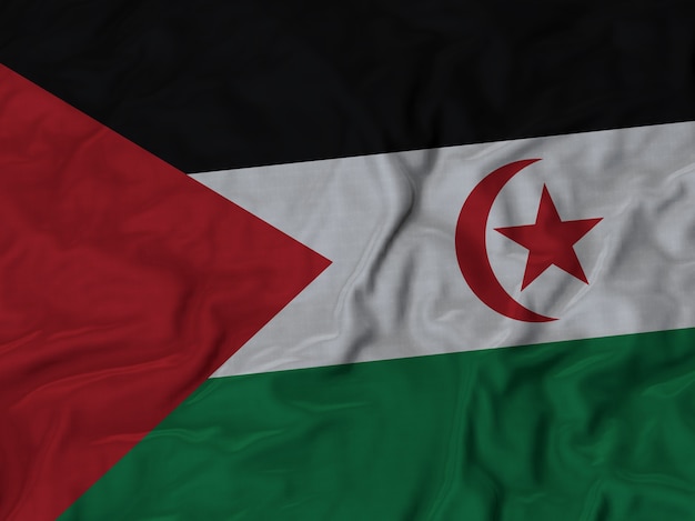 뻗 치고 Sahrawi 아랍 민주 공화국 깃발의 클로즈업