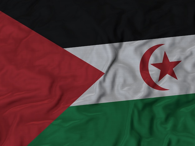 Close up of Ruffled Western Sahara flag