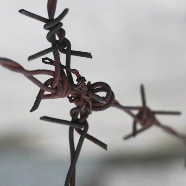 Photo close-up of rusty barbed wire