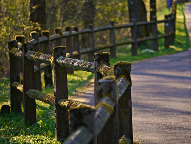 Close-up of rusty metal fence by gate