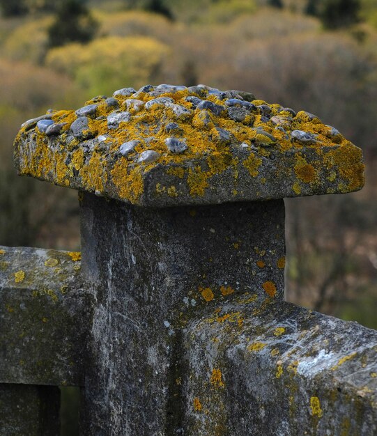 Photo close-up of rusty metal