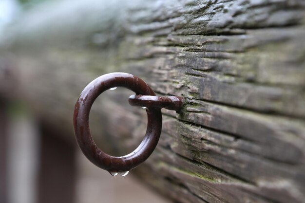 Close-up of rusty metal