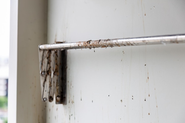 Close-up of rusty pipe on wall