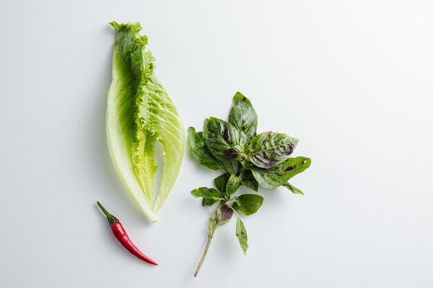 Photo close up on salad and basil isolated