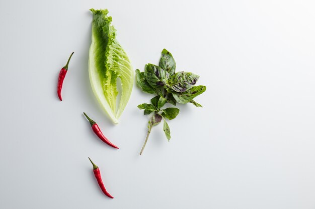 Close up on salad and basil isolated