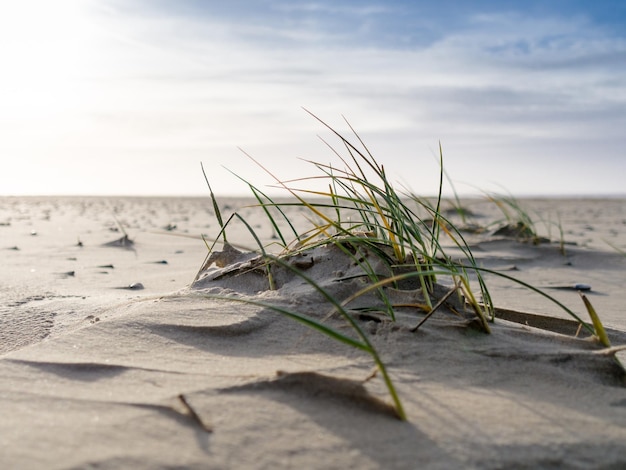 Foto close-up della sabbia sulla spiaggia contro il cielo