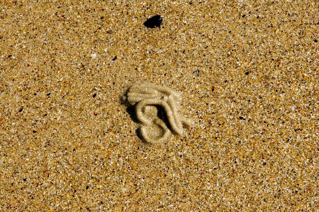 Photo close-up of sand on beach