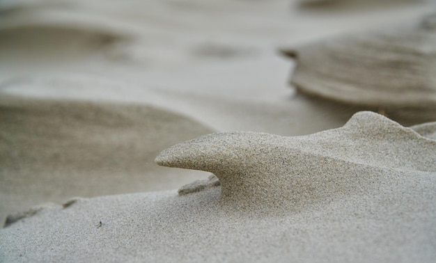 Photo close-up of sand on beach