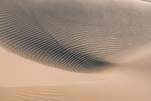 Foto close-up di dune di sabbia sulla spiaggia