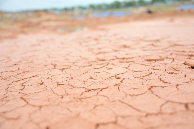 Foto prossimo piano delle dune di sabbia