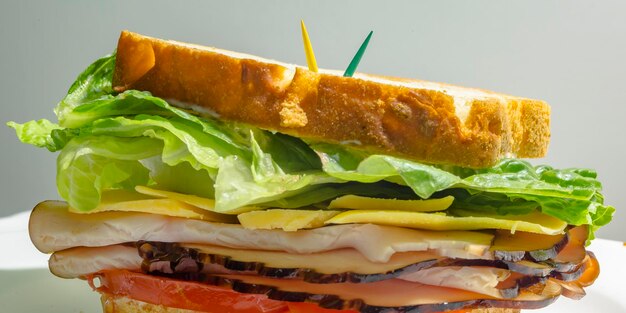 Photo close-up of sandwich on plate