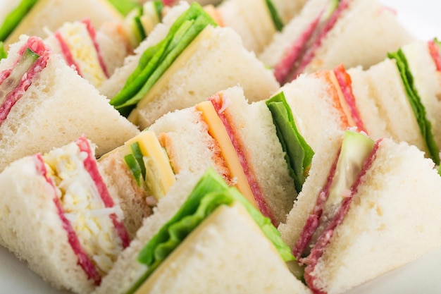 Close-up Sandwich Schotel