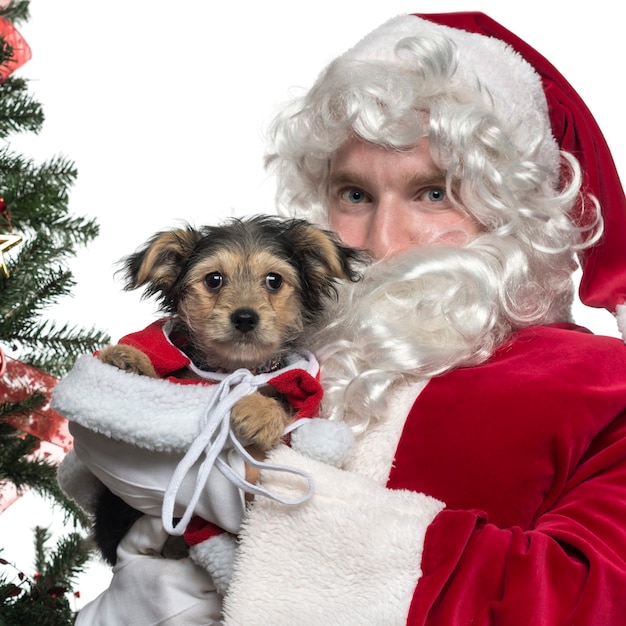 Close-up of Santa Claus holding a dog isolated on white