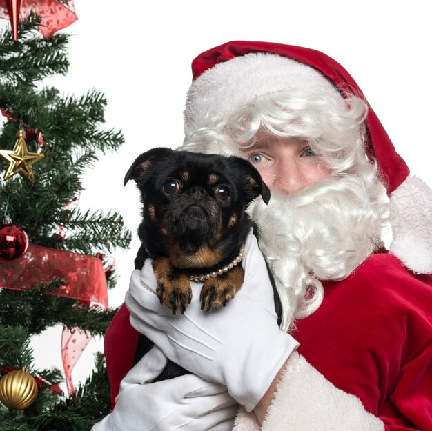 Foto primo piano di babbo natale che tiene un cagnolino isolato su bianco