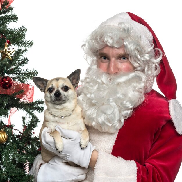 Photo close-up of santa claus holding a lapdog isolated on white