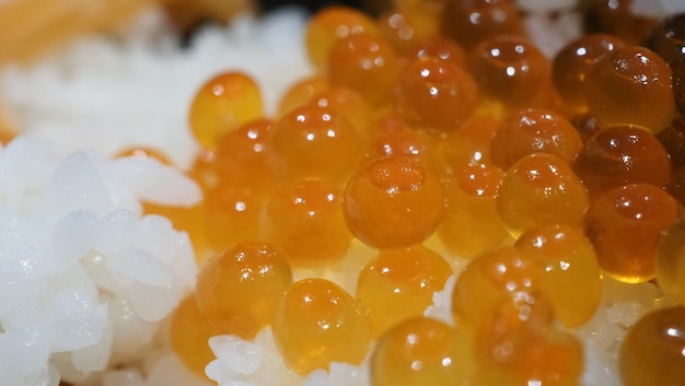 Close up of sashimi salmon roe with rice bowl or donburi in Japanese style food