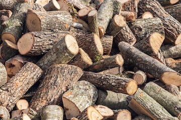 Premium Photo Closeup Sawn Tree Into Small Pieces Background From Sawn  Pieces Of Wood Cuts Of Trees Collected Into A Texture