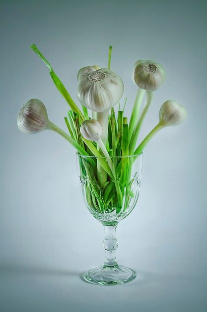 Close-up scallions in wineglass over white background