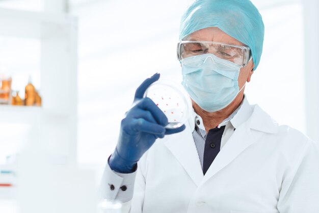 Close up. a scientist in protective gloves holds a Petri dish.