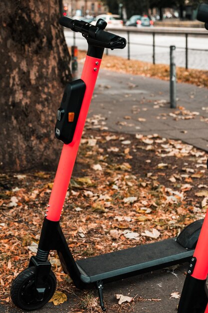 close-up of scooter on footpath by tree