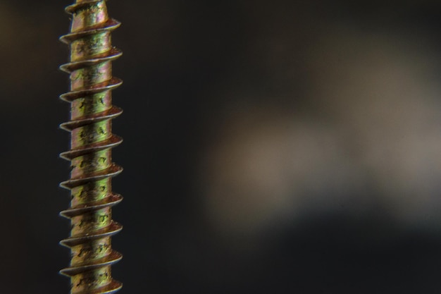 Close-up of screw